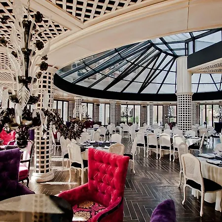 Royal Castle Design & 酒店 埃勒尼特